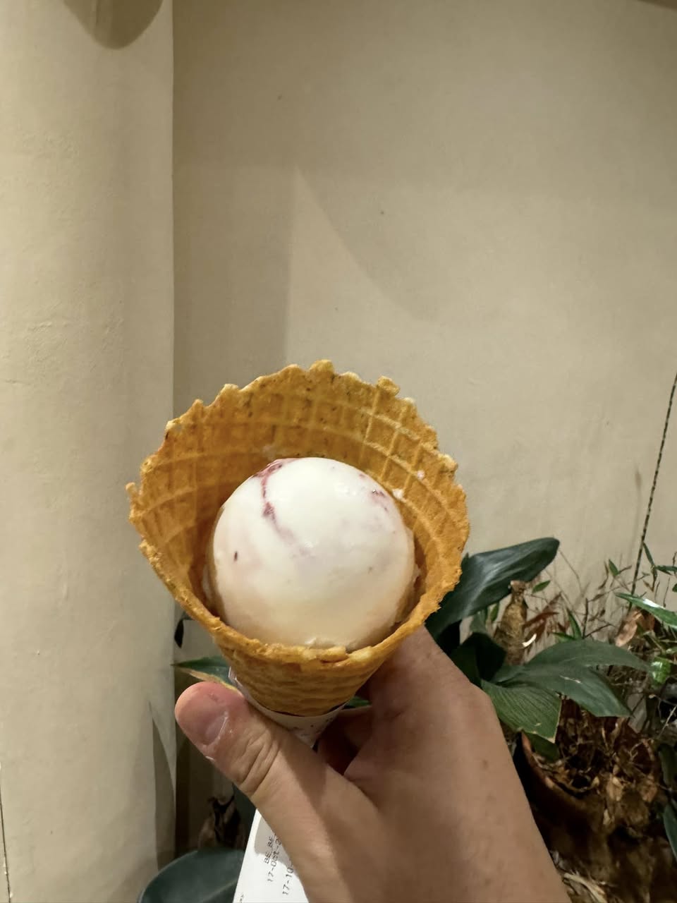 Birds of Paradise Gelato ร้านไอติมโปรดที่สิงคโปร์ รูปที่ 2