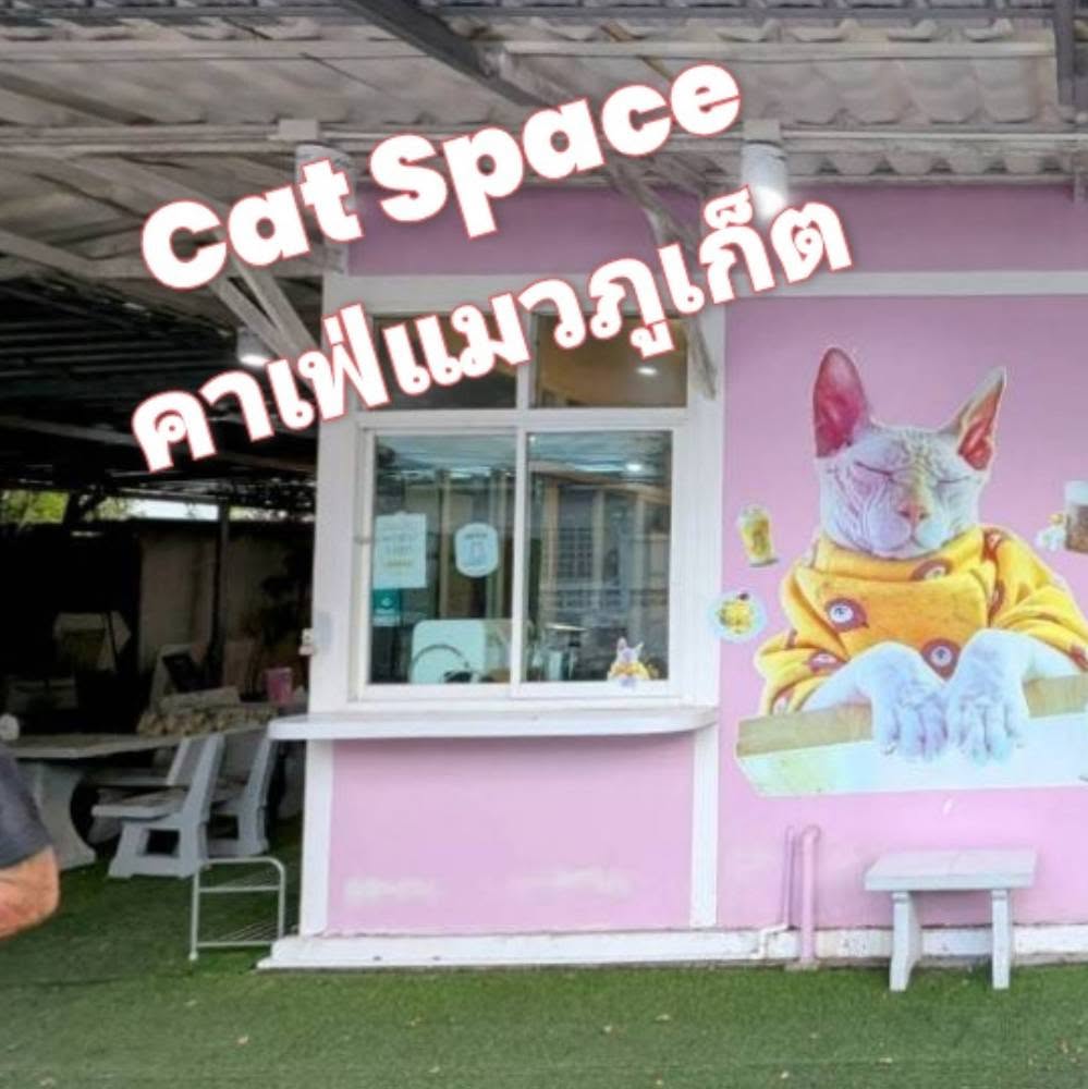Cat Space Cafe Phuket คาเฟ่แมวภูเก็ต ทาสแมวต้องมามุง