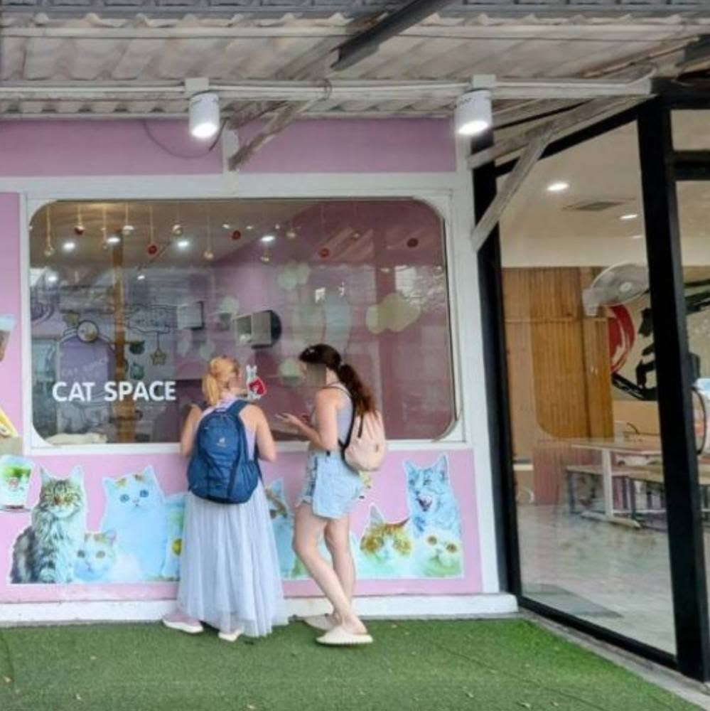 Cat Space Cafe Phuket คาเฟ่แมวภูเก็ต ทาสแมวต้องมามุง รูปที่ 1