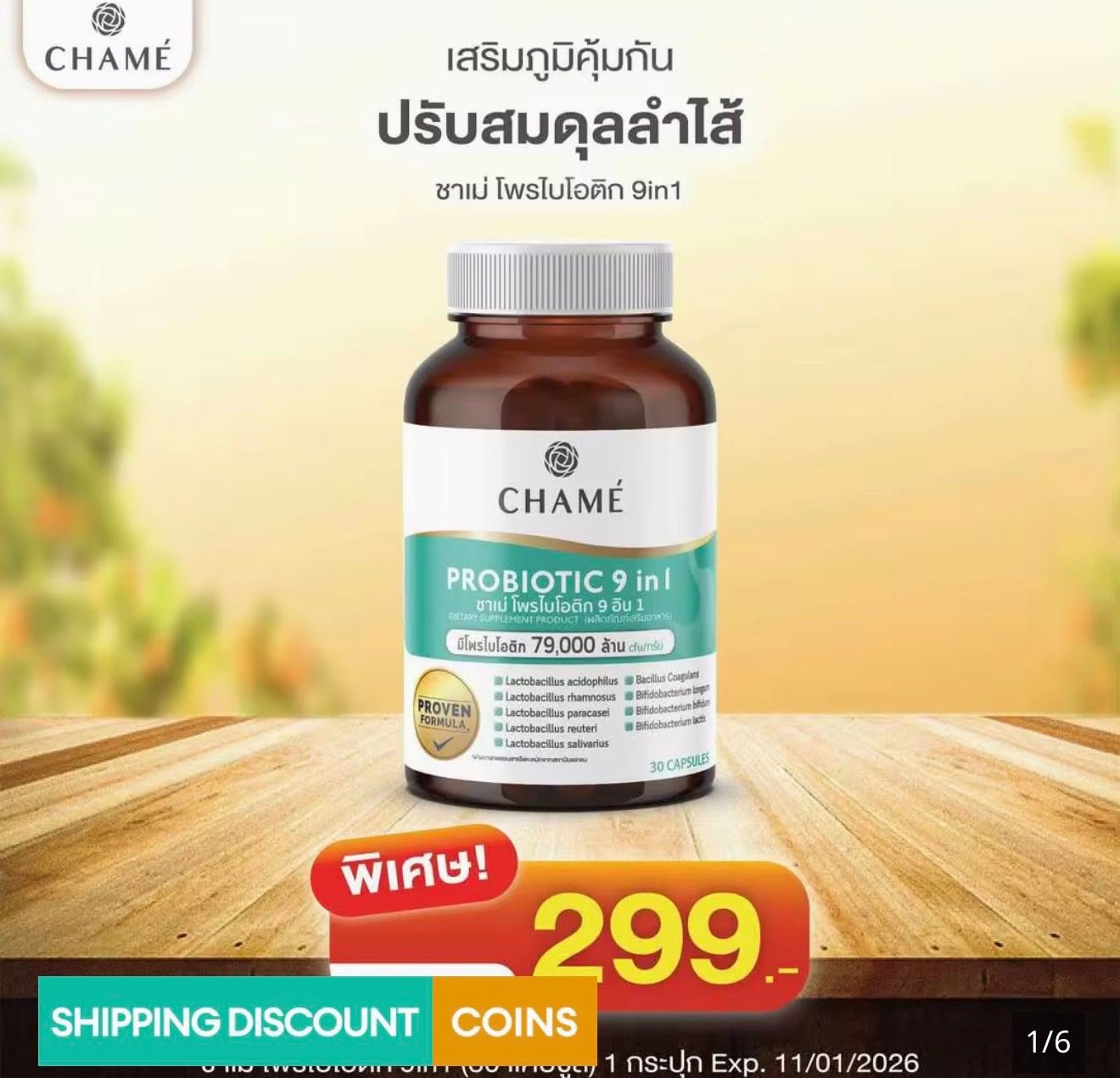 โปรไบโอติก VS เชื้อหมักโยเกิร์ต ต่างกันอย่างไร รูปที่ 1