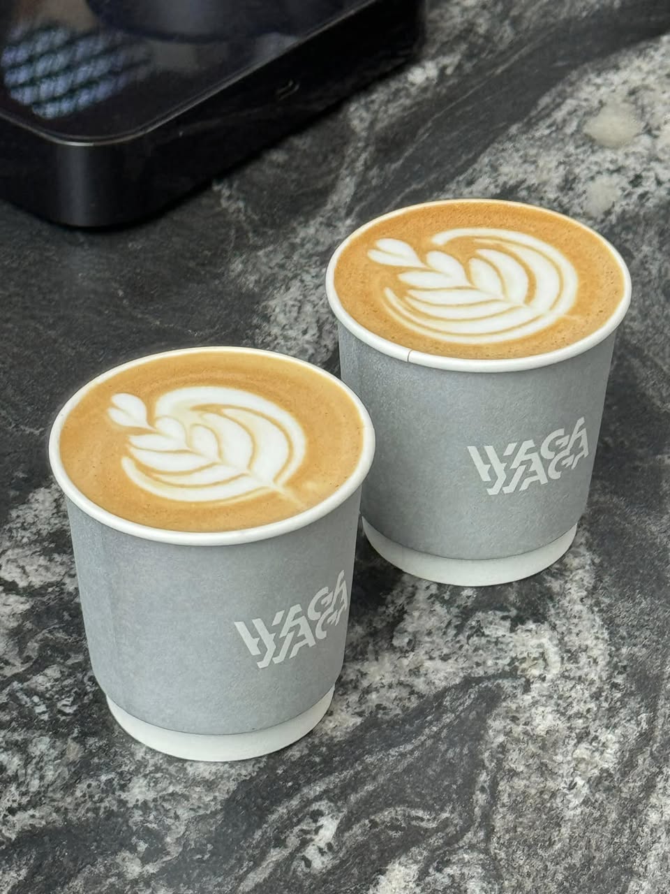 Waga Waga Den ร้านกาแฟดีที่สิงคโปร์ รูปที่ 3